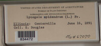 Image Associated With the Occurence